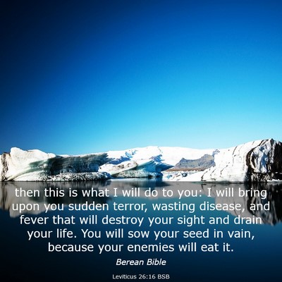 Picture 03 - Leviticus 26:16 BSB - then this is what I will do to you: I will bring - Bible Verse Picture
