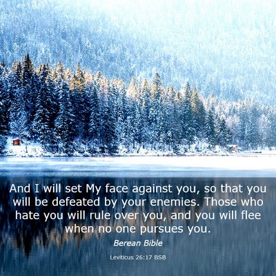 Picture 03 - Leviticus 26:17 BSB - And I will set My face against you, so that you - Bible Verse Picture