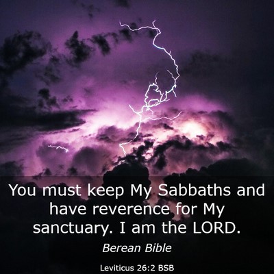 Picture 03 - Leviticus 26:2 BSB - You must keep My Sabbaths and have reverence for - Bible Verse Picture