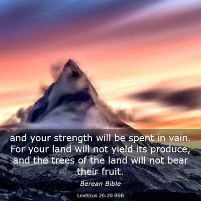 Picture 03 - Leviticus 26:20 BSB - and your strength will be spent in vain. For your - Bible Verse Picture