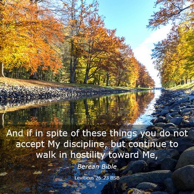 Picture 03 - Leviticus 26:23 BSB - And if in spite of these things you do not accept - Bible Verse Picture