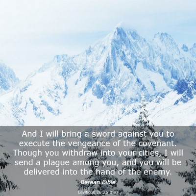 Picture 03 - Leviticus 26:25 BSB - And I will bring a sword against you to execute - Bible Verse Picture