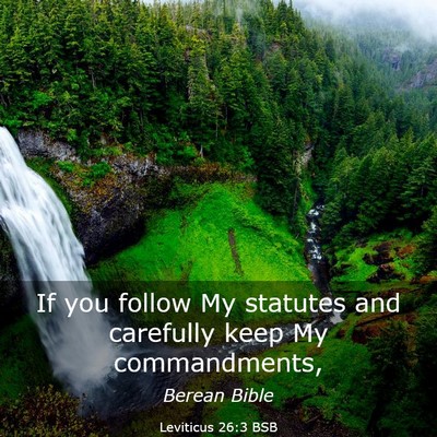 Picture 03 - Leviticus 26:3 BSB - If you follow My statutes and carefully keep My - Bible Verse Picture