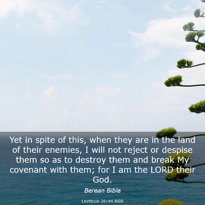 Picture 03 - Leviticus 26:44 BSB - Yet in spite of this, when they are in the land - Bible Verse Picture
