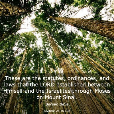 Picture 03 - Leviticus 26:46 BSB - These are the statutes, ordinances, and laws that - Bible Verse Picture
