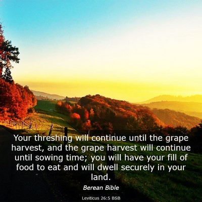 Picture 03 - Leviticus 26:5 BSB - Your threshing will continue until the grape - Bible Verse Picture