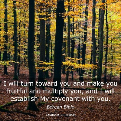 Picture 03 - Leviticus 26:9 BSB - I will turn toward you and make you fruitful and - Bible Verse Picture