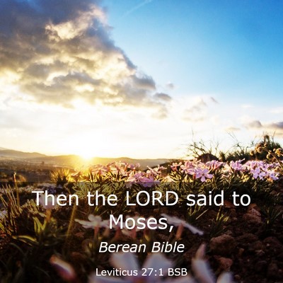 Picture 03 - Leviticus 27:1 BSB - Then the LORD said to - Bible Verse Picture