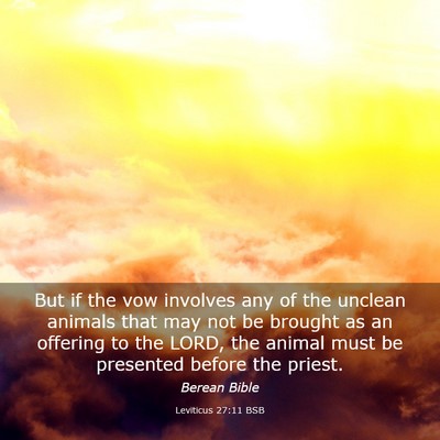 Picture 03 - Leviticus 27:11 BSB - But if the vow involves any of the unclean - Bible Verse Picture