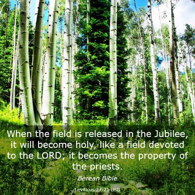 Picture 03 - Leviticus 27:21 BSB - When the field is released in the Jubilee, it - Bible Verse Picture