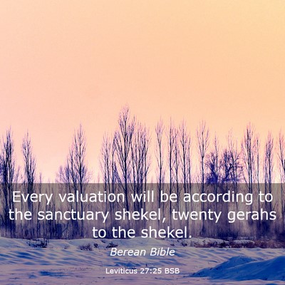 Picture 03 - Leviticus 27:25 BSB - Every valuation will be according to the - Bible Verse Picture