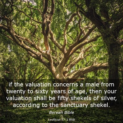 Picture 03 - Leviticus 27:3 BSB - if the valuation concerns a male from twenty to - Bible Verse Picture