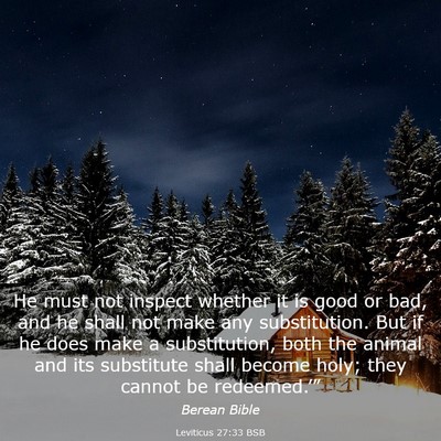 Picture 03 - Leviticus 27:33 BSB - He must not inspect whether it is good or bad, - Bible Verse Picture