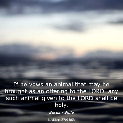 Picture 03 - Leviticus 27:9 BSB - If he vows an animal that may be brought as an - Bible Verse Picture