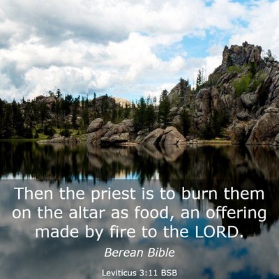 Picture 03 - Leviticus 3:11 BSB - Then the priest is to burn them on the altar as - Bible Verse Picture
