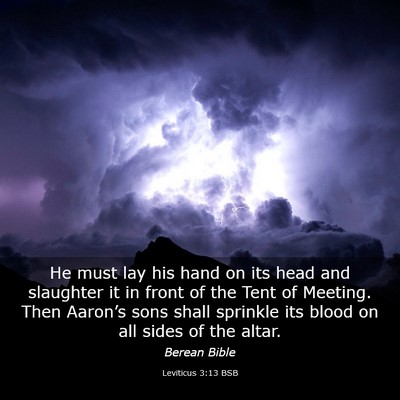 Picture 03 - Leviticus 3:13 BSB - He must lay his hand on its head and slaughter it - Bible Verse Picture