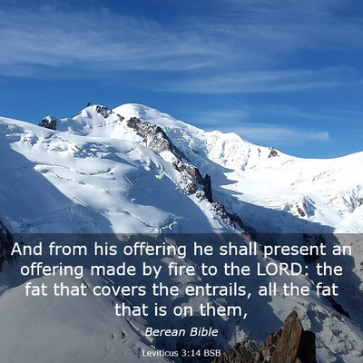 Picture 03 - Leviticus 3:14 BSB - And from his offering he shall present an - Bible Verse Picture