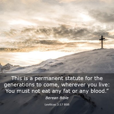 Picture 03 - Leviticus 3:17 BSB - This is a permanent statute for the generations - Bible Verse Picture