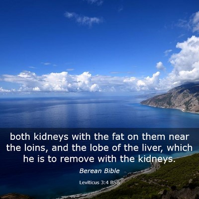 Picture 03 - Leviticus 3:4 BSB - both kidneys with the fat on them near the loins, - Bible Verse Picture