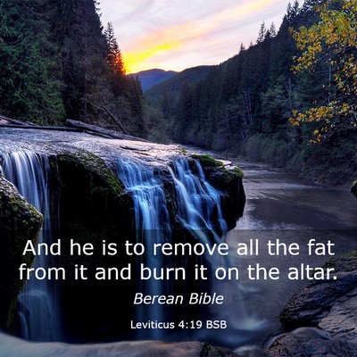 Picture 03 - Leviticus 4:19 BSB - And he is to remove all the fat from it and burn - Bible Verse Picture