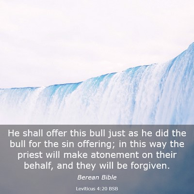 Picture 03 - Leviticus 4:20 BSB - He shall offer this bull just as he did the bull - Bible Verse Picture