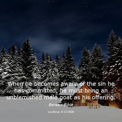 Picture 03 - Leviticus 4:23 BSB - When he becomes aware of the sin he has - Bible Verse Picture