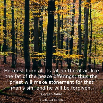 Picture 03 - Leviticus 4:26 BSB - He must burn all its fat on the altar, like the - Bible Verse Picture