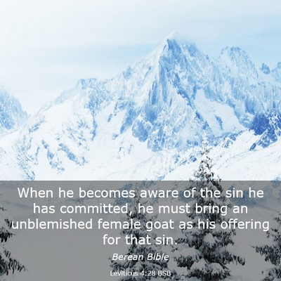 Picture 03 - Leviticus 4:28 BSB - When he becomes aware of the sin he has - Bible Verse Picture