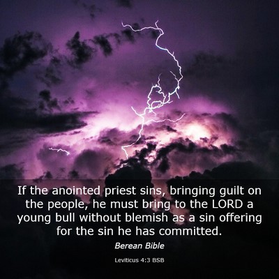 Picture 03 - Leviticus 4:3 BSB - If the anointed priest sins, bringing guilt on - Bible Verse Picture