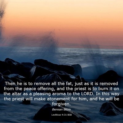 Picture 03 - Leviticus 4:31 BSB - Then he is to remove all the fat, just as it is - Bible Verse Picture
