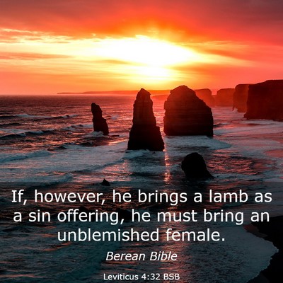 Picture 03 - Leviticus 4:32 BSB - If, however, he brings a lamb as a sin offering, - Bible Verse Picture