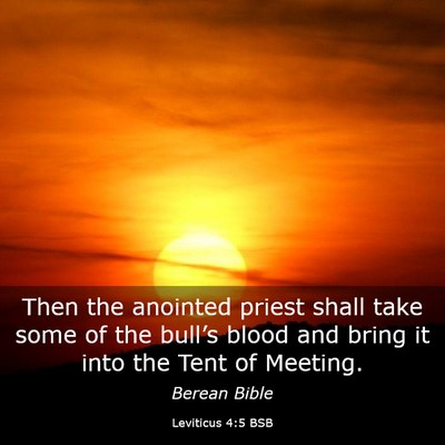 Picture 03 - Leviticus 4:5 BSB - Then the anointed priest shall take some of the - Bible Verse Picture