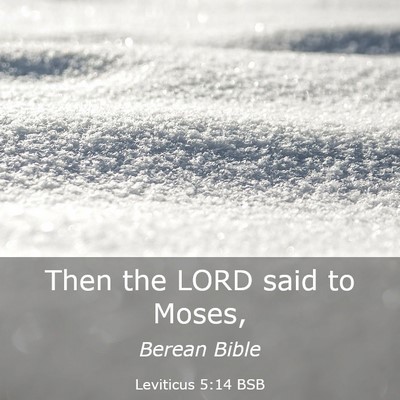 Picture 03 - Leviticus 5:14 BSB - Then the LORD said to - Bible Verse Picture