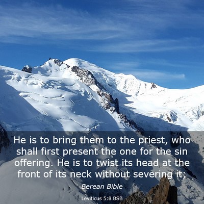 Picture 03 - Leviticus 5:8 BSB - He is to bring them to the priest, who shall - Bible Verse Picture