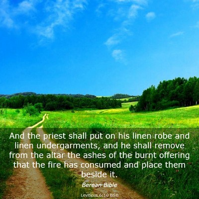Picture 03 - Leviticus 6:10 BSB - And the priest shall put on his linen robe and - Bible Verse Picture
