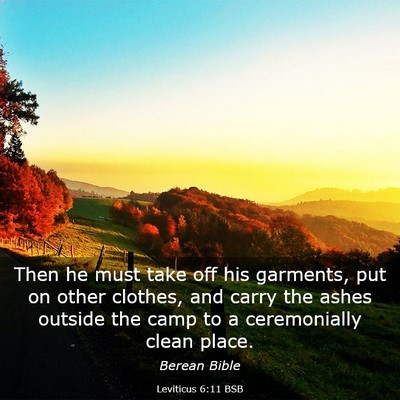 Picture 03 - Leviticus 6:11 BSB - Then he must take off his garments, put on other - Bible Verse Picture