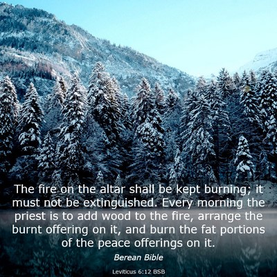 Picture 03 - Leviticus 6:12 BSB - The fire on the altar shall be kept burning; it - Bible Verse Picture