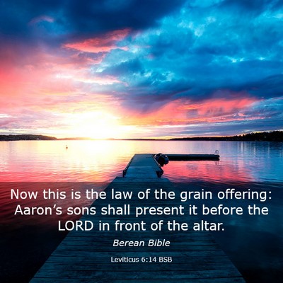Picture 03 - Leviticus 6:14 BSB - Now this is the law of the grain offering: - Bible Verse Picture