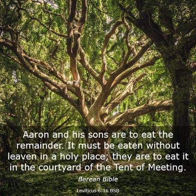 Picture 03 - Leviticus 6:16 BSB - Aaron and his sons are to eat the remainder. It - Bible Verse Picture