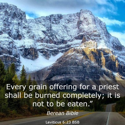Picture 03 - Leviticus 6:23 BSB - Every grain offering for a priest shall be burned - Bible Verse Picture