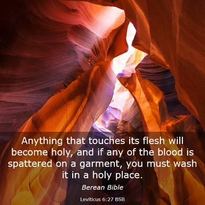 Picture 03 - Leviticus 6:27 BSB - Anything that touches its flesh will become holy, - Bible Verse Picture