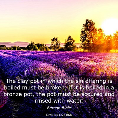 Picture 03 - Leviticus 6:28 BSB - The clay pot in which the sin offering is boiled - Bible Verse Picture