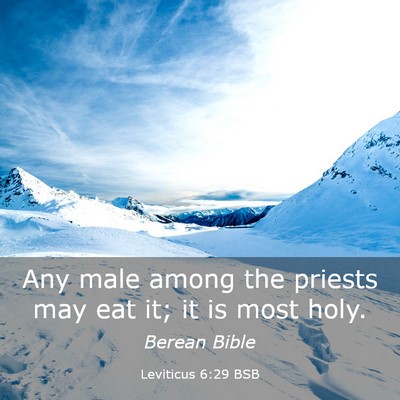 Picture 03 - Leviticus 6:29 BSB - Any male among the priests may eat it; it is most - Bible Verse Picture