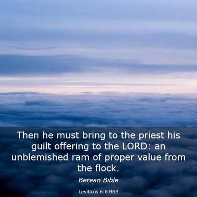 Picture 03 - Leviticus 6:6 BSB - Then he must bring to the priest his guilt - Bible Verse Picture