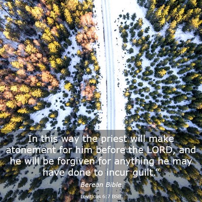 Picture 03 - Leviticus 6:7 BSB - In this way the priest will make atonement for - Bible Verse Picture