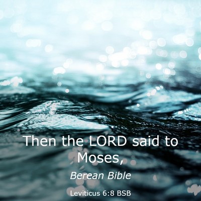 Picture 03 - Leviticus 6:8 BSB - Then the LORD said to - Bible Verse Picture