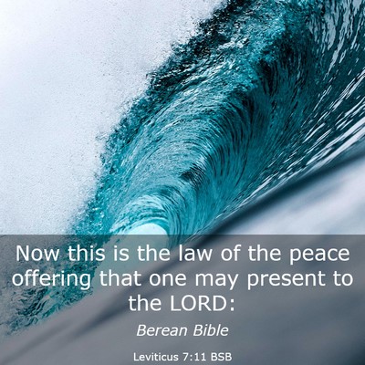 Picture 03 - Leviticus 7:11 BSB - Now this is the law of the peace offering that - Bible Verse Picture