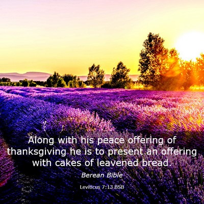 Picture 03 - Leviticus 7:13 BSB - Along with his peace offering of thanksgiving he - Bible Verse Picture