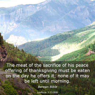 Picture 03 - Leviticus 7:15 BSB - The meat of the sacrifice of his peace offering - Bible Verse Picture