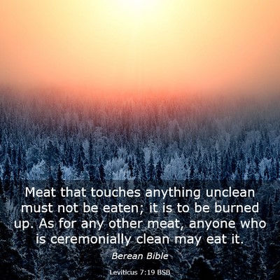 Picture 03 - Leviticus 7:19 BSB - Meat that touches anything unclean must not be - Bible Verse Picture